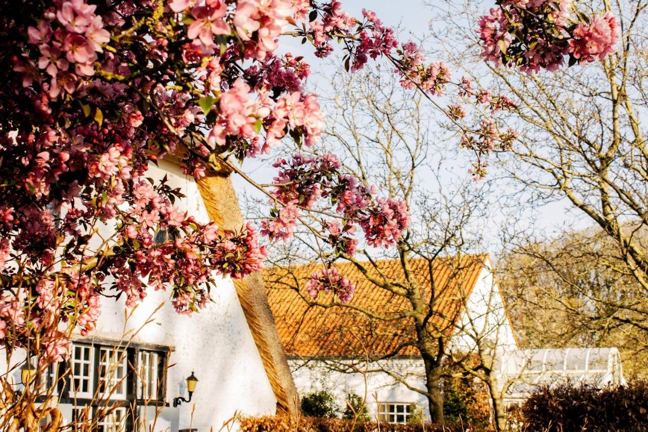 ブレー Truyenhof Bed & Breakfast エクステリア 写真