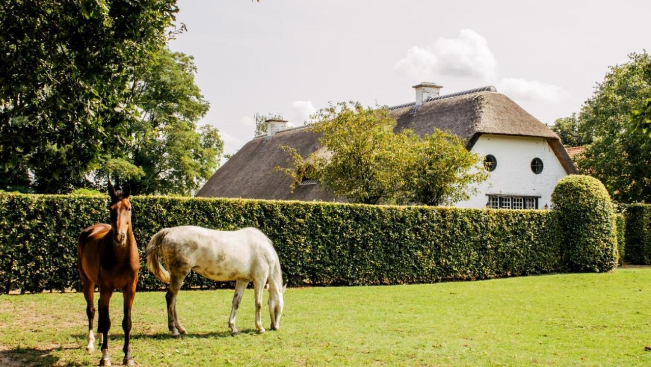 ブレー Truyenhof Bed & Breakfast エクステリア 写真